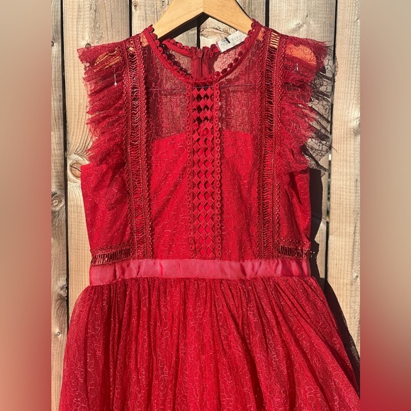 Trish scully child Clarissa dress in red - Picture 3 of 9
